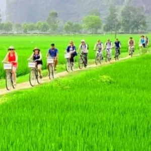 Tam Coc cycling day tour - private tour