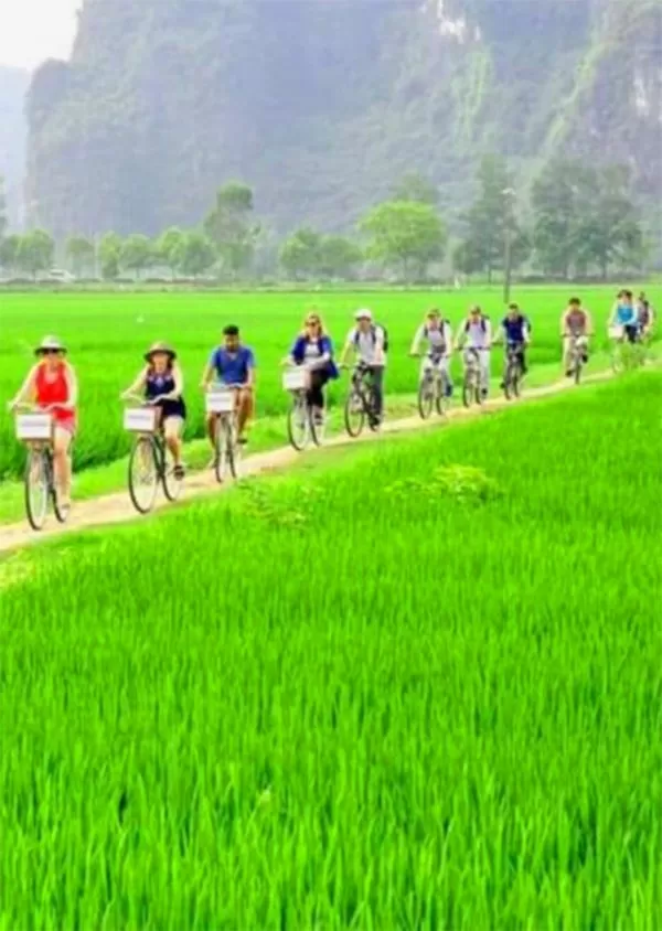 Tam Coc cycling day tour - private tour